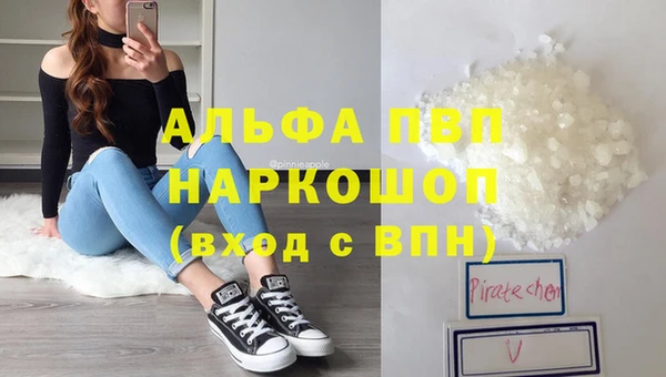 индика Беломорск