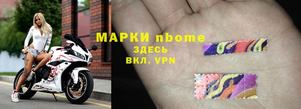 трава Кедровый