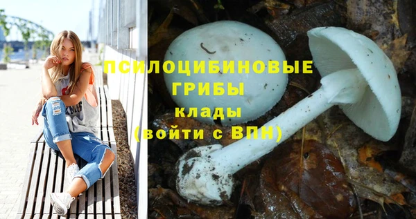 мескалин Бородино