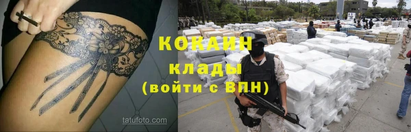 мет Богданович